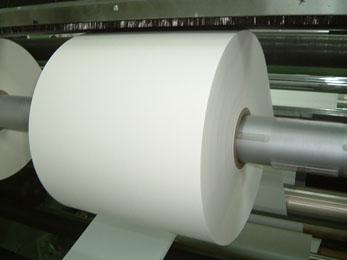 PE coated paper(paper cup paper)
